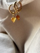 IMG_8530.jpeg