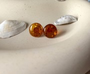 IMG_2650.jpeg
