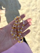 IMG_4003.jpeg